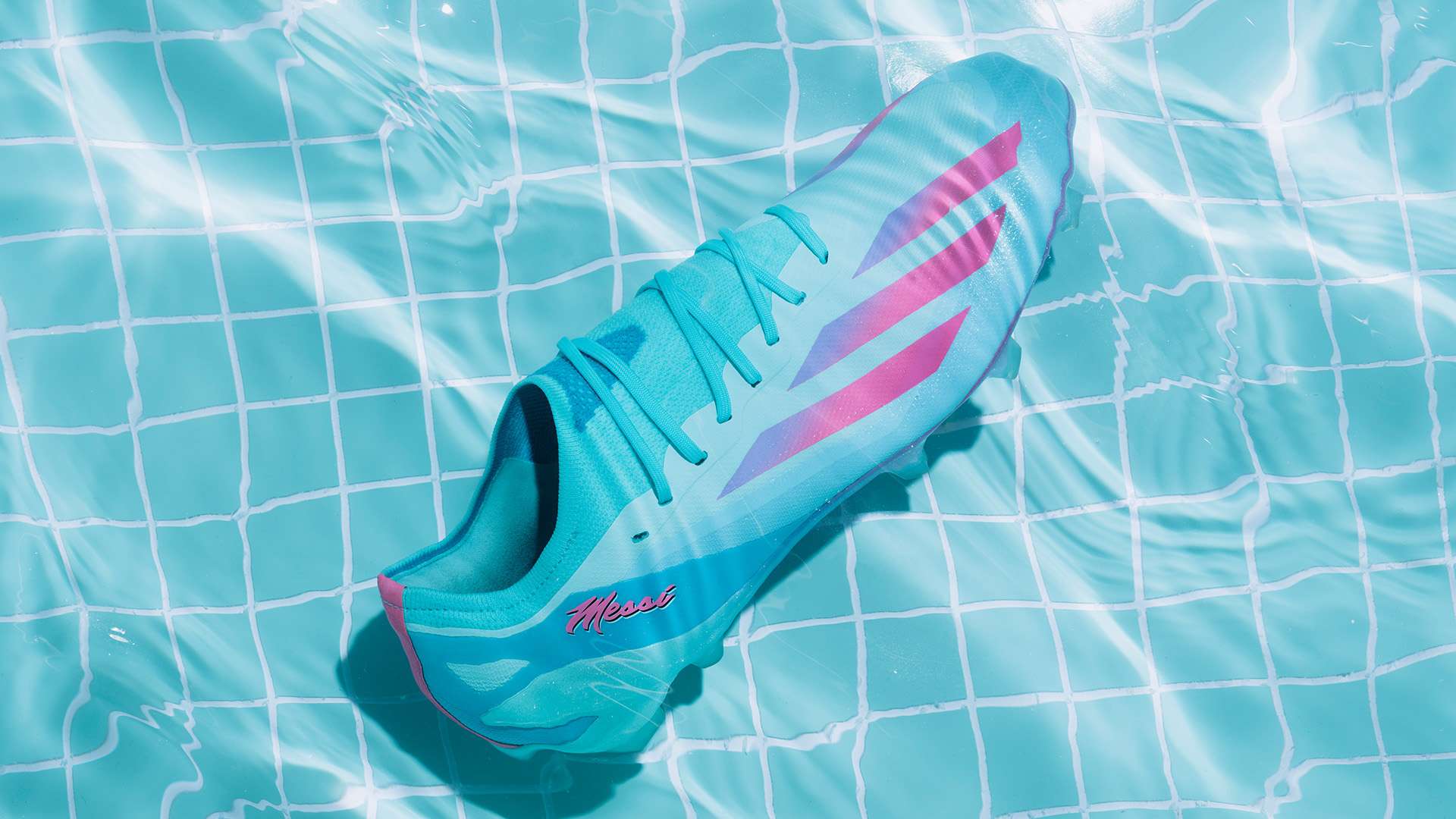 功的经验中 功的经验中